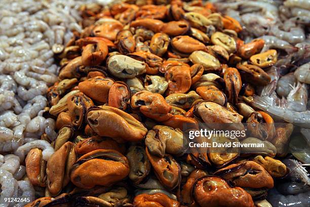 Fresh seafood is displayed at the Mercado São Pedro, the St. Peter's fresh fish market, on August 5, 2009 in Niteroi in Brazil. Stating in its...