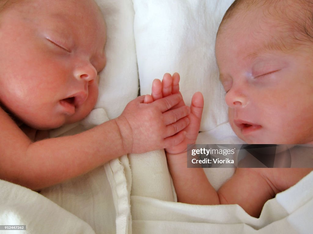 Gemelos prematuros recién cogidos de la mano