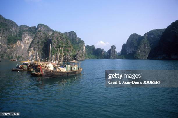 Sampans dans la baie d'Halong au Viet Nam.