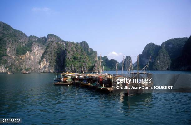 Sampans dans la baie d'Halong au Viet Nam.