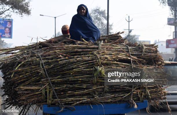 An Indian farmer sits atop bundles of sugarcane on a cart, to sell at a nearby sugar mill, in Modinagar in Ghaziabad, some 45km east of New Delhi, on...