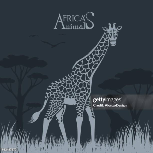 giraffe - giraffe stock illustrations