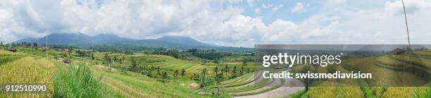 panoramic view of rice terraces in ubud, bali, indonesia - ubud rice fields stock pictures, royalty-free photos & images