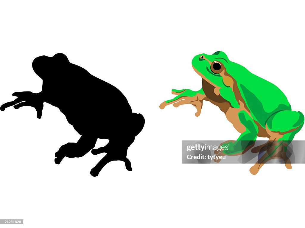Vektor-Frosch
