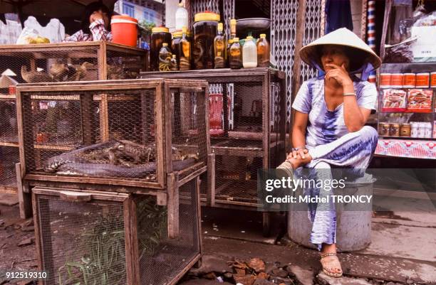 Marchande de serpents dans le marche de Phung Hiep, Viet Nam.