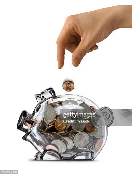 female hand dropping coin into full clear piggy bank isolated - balance finance minimal stock pictures, royalty-free photos & images