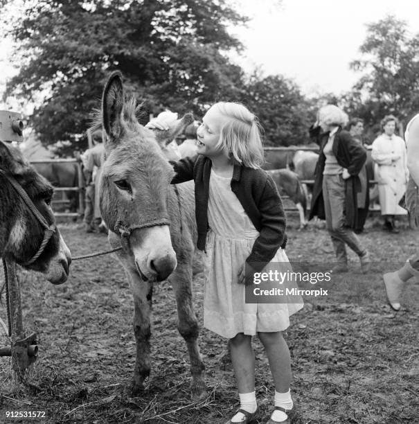 Barnet Fair in Barnet, Hertfordshire. The event has been held for hundreds of years and horse dealers and horse lovers from all over the country come...