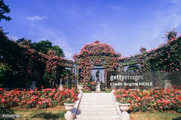 Jardin fleuri dans les Hauts-de-Seine, France.