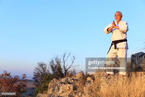 lehrer maditating auf oberen hügel - schwarzgurt stock-fotos und bilder