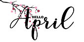 Hello April, spring related motivational quote, isolated on white background, vector illustration. Handwritten letters, Japanese sakura branch, little cute flowers falling.
