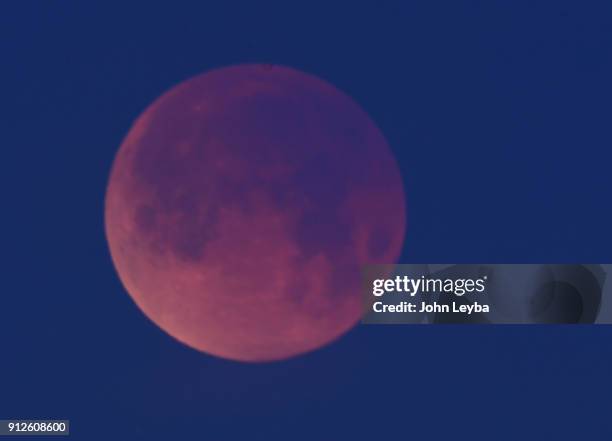 Douglas County, CO A Total Lunar Eclipse starts to set to the west as the sun rises to the east on January 31 as seen from Daniels Park in Douglas...