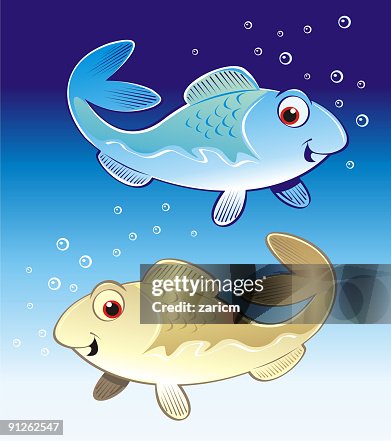 Fish Fish