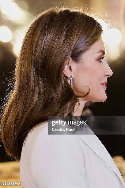 Queen Letizia of Spain attends the Foreign Ambassadors Reception at The Royal Palace on January 31, 2018 in Madrid, Spain.