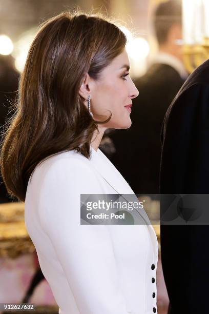 Queen Letizia of Spain attends the Foreign Ambassadors Reception at The Royal Palace on January 31, 2018 in Madrid, Spain.