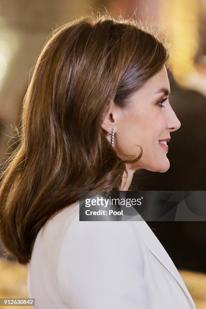 Queen Letizia of Spain attends the Foreign Ambassadors Reception at The Royal Palace on January 31, 2018 in Madrid, Spain.