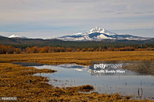 mount washington reflection - deschutes national forest stock pictures, royalty-free photos & images