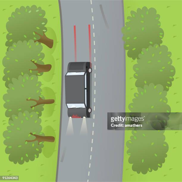 illustrations, cliparts, dessins animés et icônes de route de tuer - écrasé par un véhicule