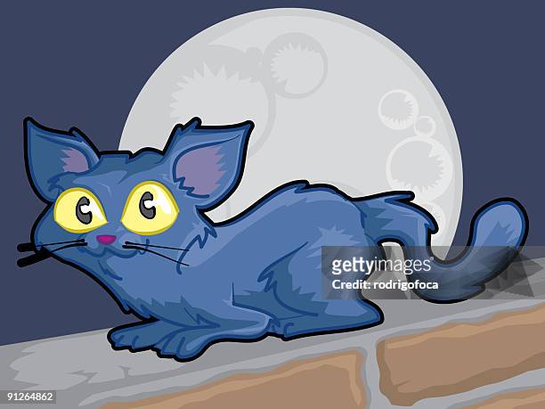night cat - black siamese cat stock illustrations