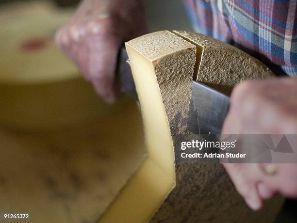 cutting swiss mountain cheese - hombre cortando queso fotografías e imágenes de stock