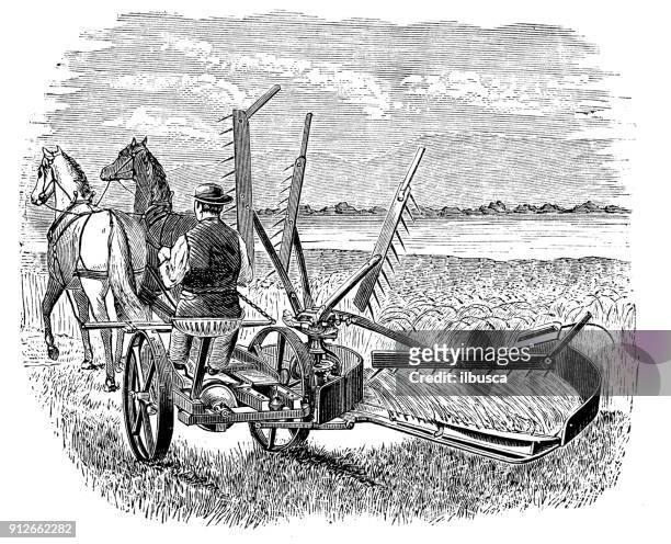 antique illustration: harvester machine - 1900 stock illustrations