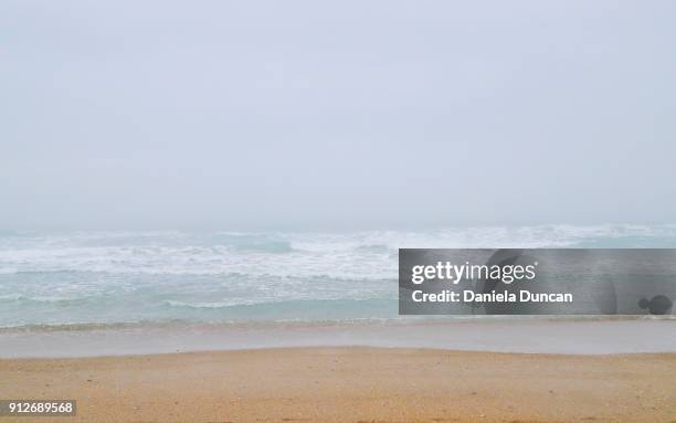 foggy beach - ライツヴィルビーチ ストックフォトと画像