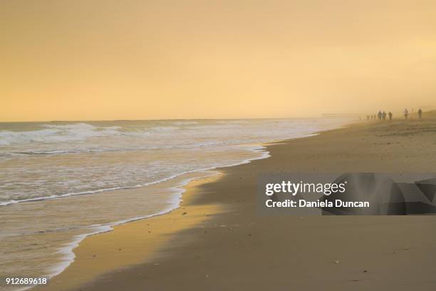 golden beach - ライツヴィルビーチ ストックフォトと画像