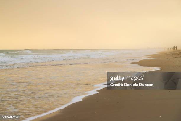 golden beach - wrightsville stock pictures, royalty-free photos & images