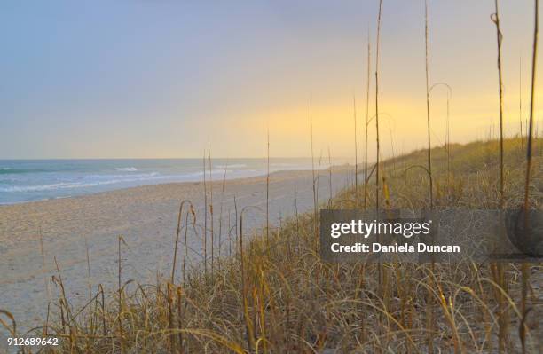 natural beach - ライツヴィルビーチ ストックフォトと画像