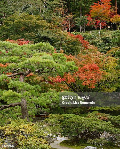 the gardens of the temple of the silver pavilion - ginkaku ji temple stock pictures, royalty-free photos & images