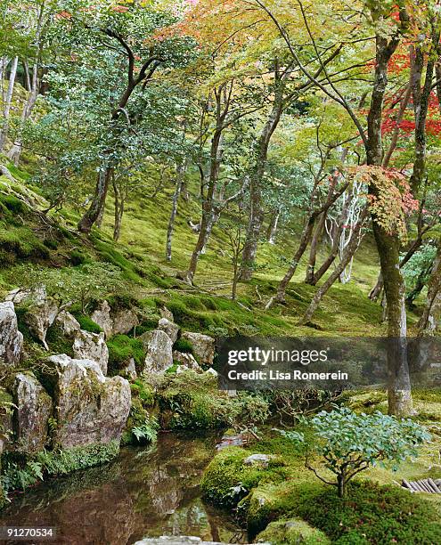 the gardens of the temple of the silver pavilion - ginkaku ji temple stock pictures, royalty-free photos & images