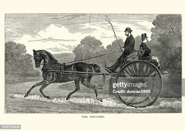 57 Dogcart Stock Photos, High-Res Pictures, and Images - Getty Images