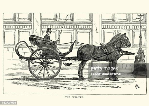 victorian man driving a curricle carriage, 19th century - horse carriage stock illustrations