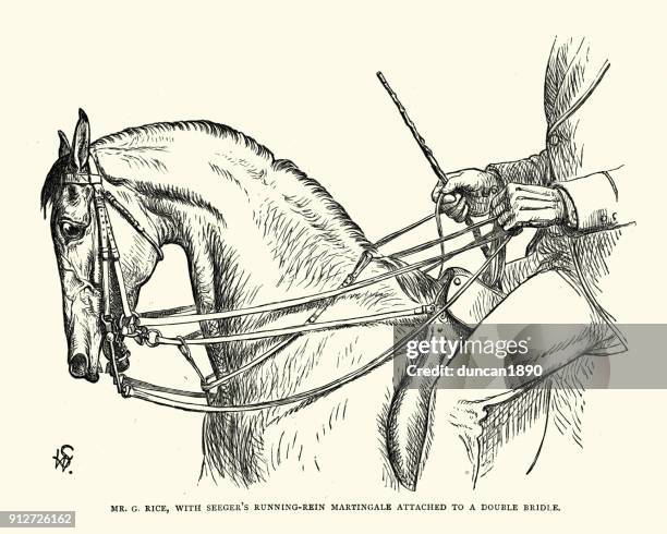 victorian horse training running rein matingale - recreational horseback riding stock illustrations