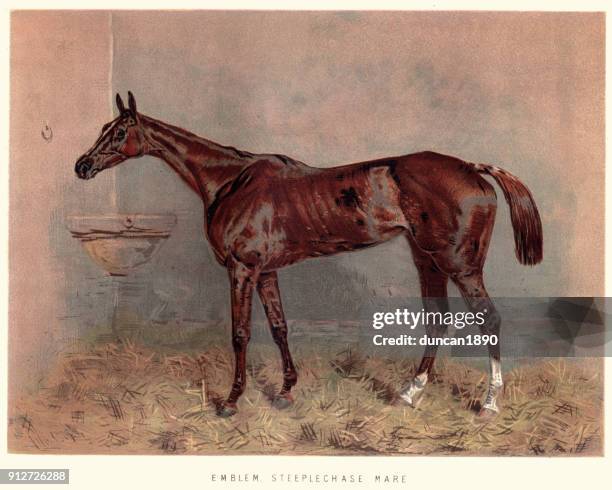 stockillustraties, clipart, cartoons en iconen met victoriaanse paardenrennen, embleem steeplechase mare - steeplechasing horse racing