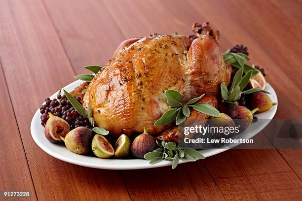 holiday turkey - roast turkey 個照片及圖片檔
