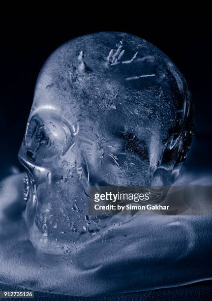 extreme close up of ice skull - slush ice stock pictures, royalty-free photos & images