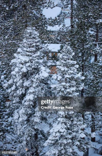 Light dusting of snow from a fast-moving overnight storm coats the trees around the Base Camp Hotel on January 25 in South Lake Tahoe, California....
