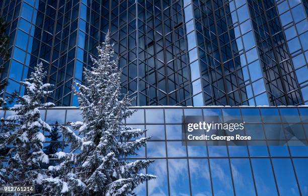 Light dusting of snow from a fast-moving overnight storm coats the trees outside Harvey's Casino & Hotel on January 25 in Stateline, NV. Though a...
