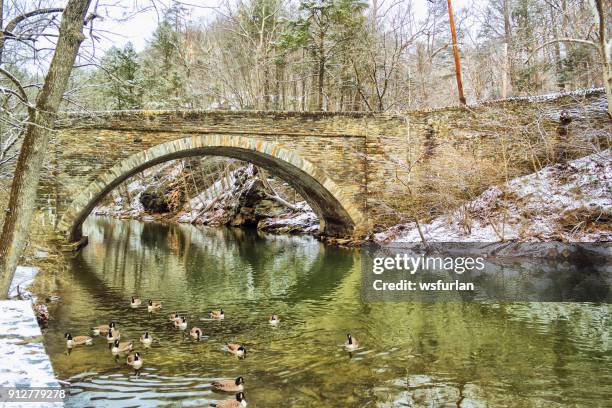 beautiful park on winter - philadelphia winter stock pictures, royalty-free photos & images