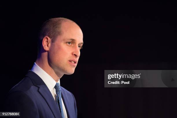 Prince William, Duke of Cambridge speaks during a reception to celebrate Swedish culture at the Fotografiska Gallery on day two of their royal visit...