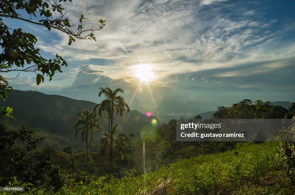 Sunset in the amazonian