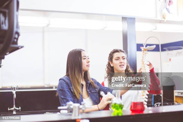 two female high school students working in science lab - spine model stock pictures, royalty-free photos & images