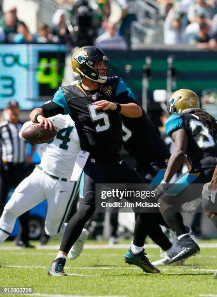 Blake Bortles of the Jacksonville Jaguars in action against the New York Jets on October 1, 2017 at MetLife Stadium in East Rutherford, New Jersey....