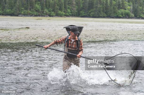 pesca de líquido do alasca! - kachemak bay - fotografias e filmes do acervo