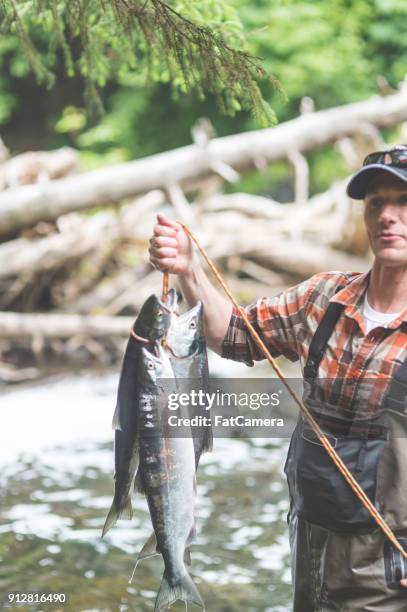 conto do pescador - kachemak bay - fotografias e filmes do acervo