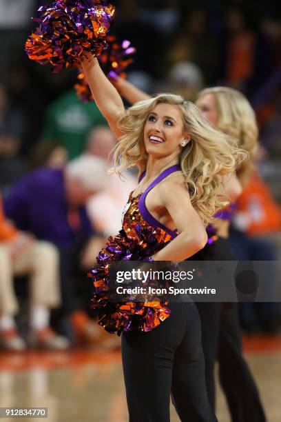 Clemson Rally Cat during a college basketball game between the North Carolina Tar Heels and Clemson Tigers on January 30, 2018 at Littlejohn Coliseum...