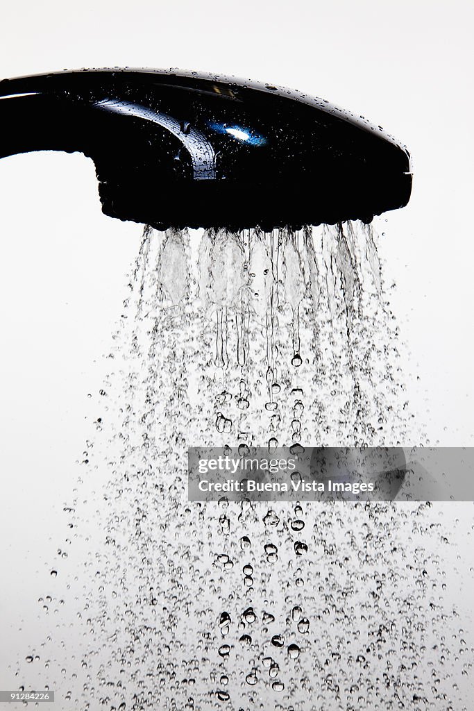 Close up of shower head.