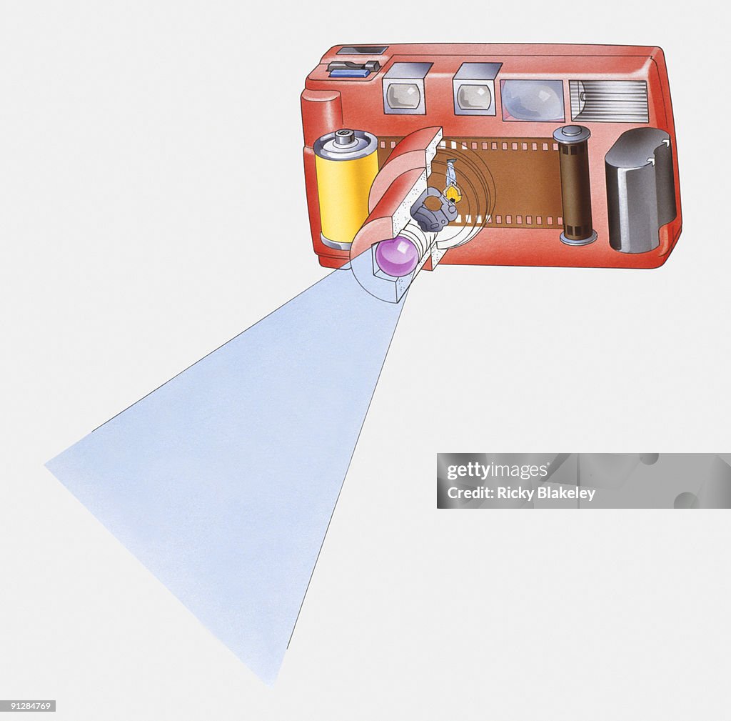 Cross section digital illustration of old fashioned pocket camera showing how image is exposed on fi