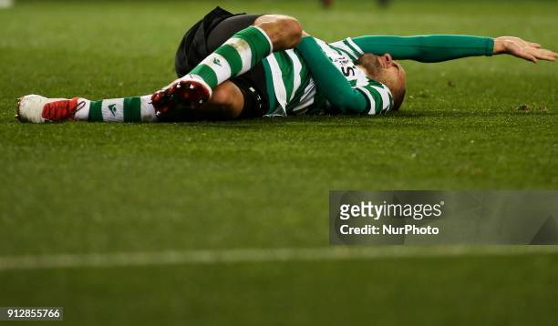 Sporting's forward Bas Dost injured on the pitch during the Portuguese League football match between Sporting CP and Vitoria SC at Jose Alvalade...