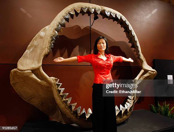 Enya Kim from the Natural History department at auctioneers Bonhams & Butterfields stands in front of one of the world's largest set of shark jaws...